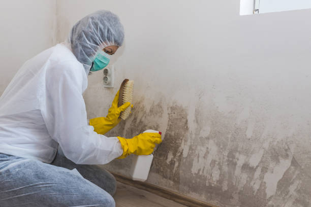 Best Home Mold Removal  in Bethel Acres, OK