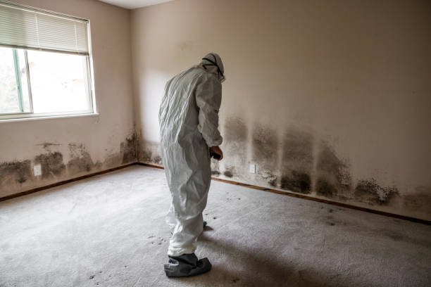 Best Office Mold Removal Services  in Bethel Acres, OK