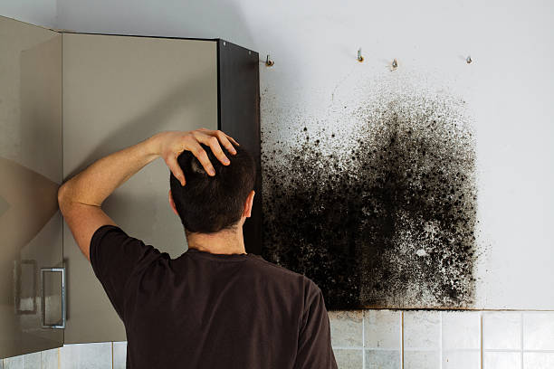 Best Certified Mold Removal  in Bethel Acres, OK